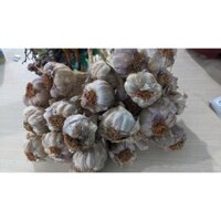 Tỏi Hải Dương, Tỏi Tím, Tỏi Ta 10kg loại nhỏ