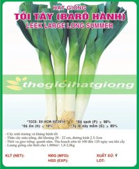 TỎI TÂY (BARÔ HÀNH)