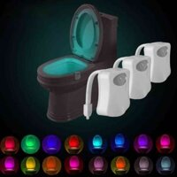 Toilet Bowl Night Light 16 Colours with Motion Sensor - 3 Pack