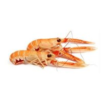 Tôm Hùm Baby Na Uy Đông Lạnh - Whole Langoustine(Raw) 0,8Kg