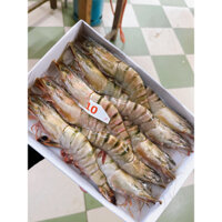 Tôm sú hộp
