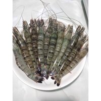 Tôm sú Kiên Giang (40 con/kg)
