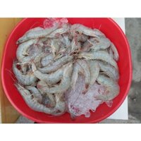 TÔM SÚ THẺ