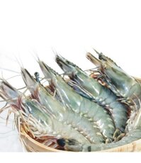 Tôm tự nhiên Đại Thành (tôm Sú tươi size 30 - 35 con/kg)