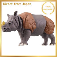 Tomica Ania Adventure Continent Ania Kingdom Cyrus (Indian Rhino)