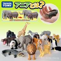 TOMY tomica Amway mô phỏng nhận thức mô hình động vật đồ chơi trẻ em Đồ trang trí nhỏ Chim Hồng Hạc con công hổ DXOF