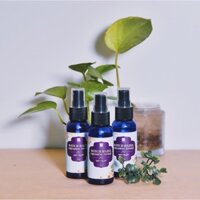 Toner Cây Phỉ Pizkie