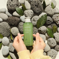 👏👏TONER INNISFREE TRÀ XANH 😍😍
