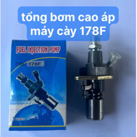 Tổng Bơm Cao Áp Máy Cày 178F Hướng Dầu Bên Phải Tổng Bơm Dầu Máy Cày 178F Và 173F Dùng Chung Thông Dụng (kho 6202)