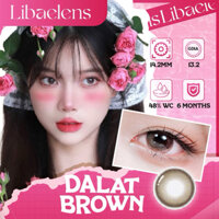 Tổng hợp Lens 6 tháng LIBAELENS khoá ẩm , độ cận từ 0 đến 6 độ ( Giá 1 chiếc )