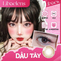Tổng hợp Lens 6 tháng LIBAELENS khoá ẩm , độ cận từ 0 đến 6 độ ( Giá 1 chiếc )