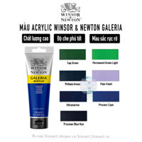 [TÔNG LẠNH] Màu Acrylic Winsor & Newton Galeria tuýp 120ml