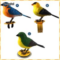 Tooyful Giọng Nói Điều Khiển Chim Mô Phỏng Âm Thanh Giọng Nói Kích Hoạt Chim Hình Mô Hình Dễ Thương Hát Điện Tử Chim Đồ Chơi