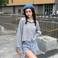 Top Hợp Thời Trang Phiên Bản Hàn Quốc Sinh Viên Mặc 2021 Nữ Mỏng Phong Cách Nữ Màu Xám Áo Khoác Phù Hợp Với Áo Dài Tay Thu Đông Loo