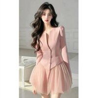 Top Mesh Suit Skirt Thousand Gold French Cardigan Spring Short Skirt Women's New Waist-Tight High Sense Two Pieces