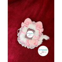 toploader mèo lông