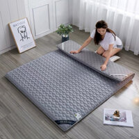 Topper đệm gấp gọn dày 4cm vải xơ đậu nành cao cấp kháng khuẩn trải giường trải sàn tiện lợi