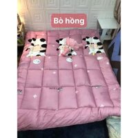 Topper Nệm trải giường hay trải sàn( hàng trên 3kg)