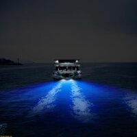 Tốt nhất 50W Thép không gỉ 27 LED màu xanh dưới nước Pontoon Marine Boat Transom Light