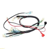 Tốt Nhất Hoàn Chỉnh Điện Dây CDI Stators 6 Cuộn Dây Cho Xe Máy ATV 50cc 70cc 90cc 110cc 125cc