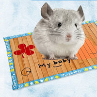 Totoro Special Bamboo Mat Mat Cooling Pad Summer Cooling Rabbit Guinea Pig Guinea Pig Pet Supplies Summer Cool 8EW9