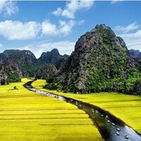 TOUR 1 NGÀY HÀ NỘI- HOA LƯ- TAM CỐC- HANG MÚA