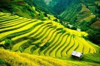 Tour 1 Ngày Trekking Bản Cát Cát – Lao Chải – Ý Linh Hồ Từ Sapa