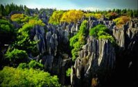 Tour 1 Ngày Trekking, Leo Núi Chinh Phục Đỉnh Hàm Rồng, Sapa