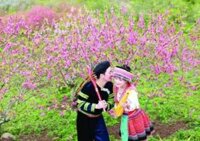 Tour Đà Nẵng Sapa tết âm lịch khởi hành từ Đà Nẵng dịch vụ tốt nhất