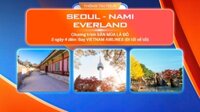 TOUR ĐÀ NẴNG - SƠN TRÀ - BÀ NÀ HILL - HỘI AN 3N2D