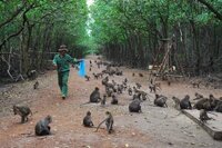 Tour Du lịch Cần Giờ – Đảo Khỉ 1 ngày