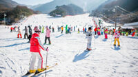 TOUR DU LỊCH HÀN QUỐC TẾT NGUYÊN ĐÁN 2024 4N3D - Tour du lịch trượt tuyết Hàn Quốc - SEOUL – ĐẢO NAMI – TRƯỢT TUYẾT – LOTTE WORLD