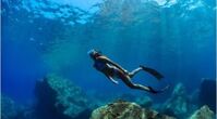 Tour Free Diving
