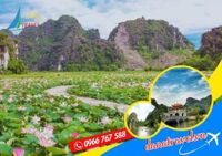 Tour Hoa Lư Tam Cốc 1 ngày khởi hành từ Hà Nội