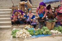 Tour Khám Phá Chợ Phiên Truyền Thống Bắc Hà Ở Sapa