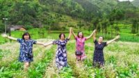 [Tour Lễ 30/4] Du lịch Hải Phòng - Hà Giang 3 ngày 2 đêm