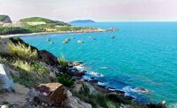 Tour Nha Trang - Đà Lạt