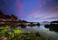 Tour Ninh Chữ – Vịnh Vĩnh Hy – Đảo Bình Hưng 3 ngày 2 đêm