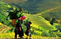 Tour Sapa – Hàm Rồng – Cát Cát 2 ngày 1 đêm