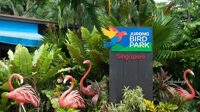 Tour Singapore – Jurong Bird Park – Sentosa Resort