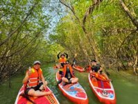 Tour Team Building Chèo Sup Cần Giờ 1 Ngày