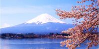 Tour tham quan núi Phú Sĩ và Hakone 1 ngày (di chuyển bằng xe bus)