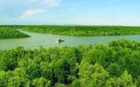 Tour Tp Hồ Chí Minh – Cần Giờ – Đảo Khỉ 3 ngày