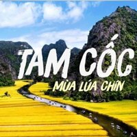 Tour Trọn Gói 1 Ngày Ninh Bình - Hoa Lư - Tam Cốc - Đạp Xe Đạp Ngắm Cảnh (Trọn Gói Xe Đưa Đón từ Hà Nội + Ăn Trưa + Vé T