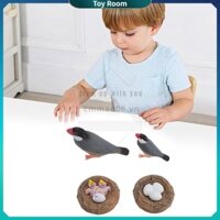 ToyRoom Mô hình chim đặt đồ chơi ấp ủ chu kỳ tăng trưởng mô phỏng để trang trí hộp cát và giáo dục sớm