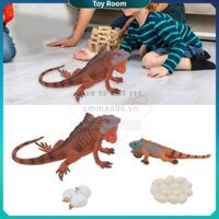 ToyRoom Mô hình vòng đời iguana đặt tăng trưởng đồ chơi nhựa PVC giống như thế giới