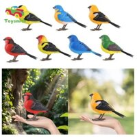 Toysmith Parakeet Vẹt Lồng Đồ Chơi Đồ Chơi Điện Tử Đồ Chơi Phát Triển Hình Trang Trí