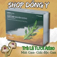 Trà Atiso Tươi Nhất Diệp Nguyên Hương - Trà Dược- Mát Gan Giải Độc LADOPHAR -Hộp 100 túi lọc