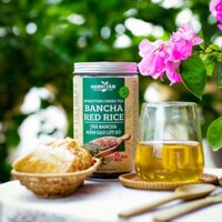 Trà Bancha Mầm Gạo Lứt Đỏ Hạnh Tâm Tốt Cho Sức Khỏe, Tăng Đề Kháng