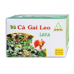 Trà cà gai leo Lava 30 gói